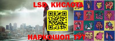 шишки Шелехов