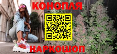 стаф Шахты