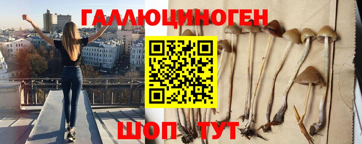 Галлюциногенные грибы мухоморы  Вход с VPN  Карталы 
